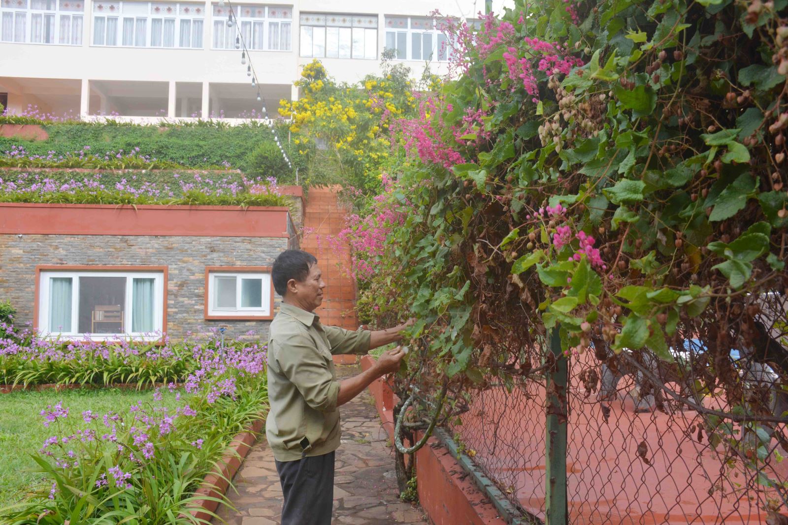 Chú thích ảnh