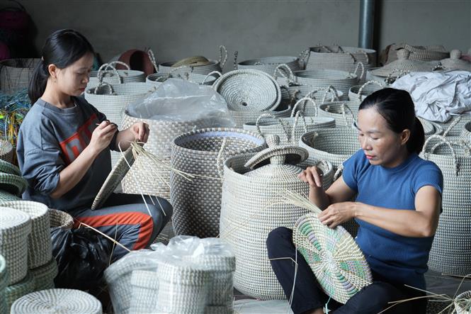 Doanh nhân nữ trẻ tràn đầy tinh thần khởi nghiệp, khát khao xây dựng sự nghiệp