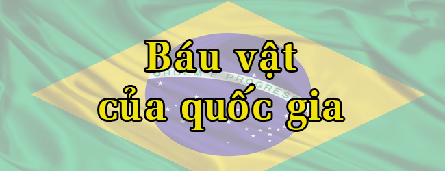 Vĩnh biệt huyền thoại bóng đá Pelé ảnh 8