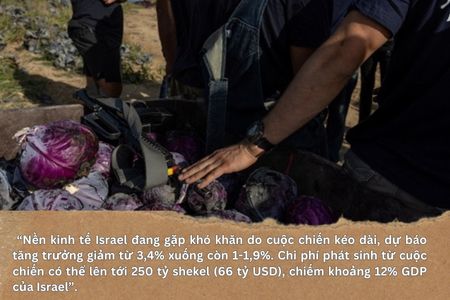 Một năm giao tranh giữa Israel và Hamas đẩy Gaza rơi vào thảm hoạ ảnh 6