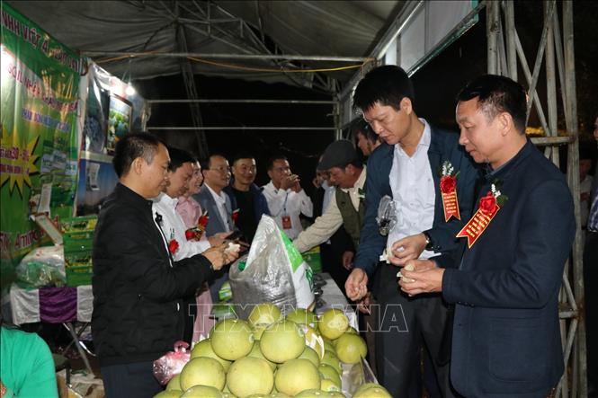Yên Bái: Bước tiến mới từ Chương trình Mỗi xã một sản phẩm 