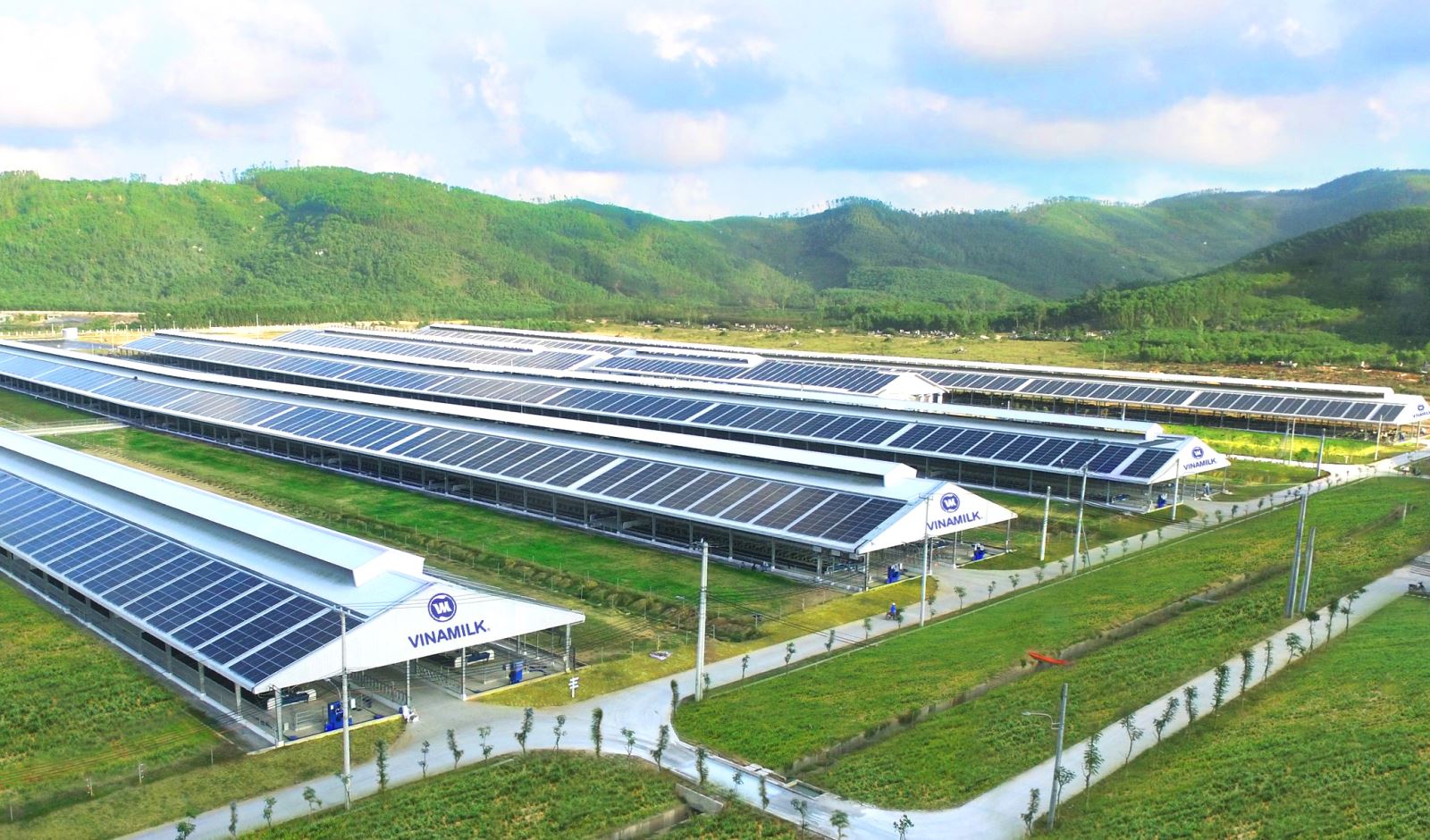 Phân tích cách 'ông lớn tiền mặt' quản trị dòng tiền từ hoạt động kinh doanh 