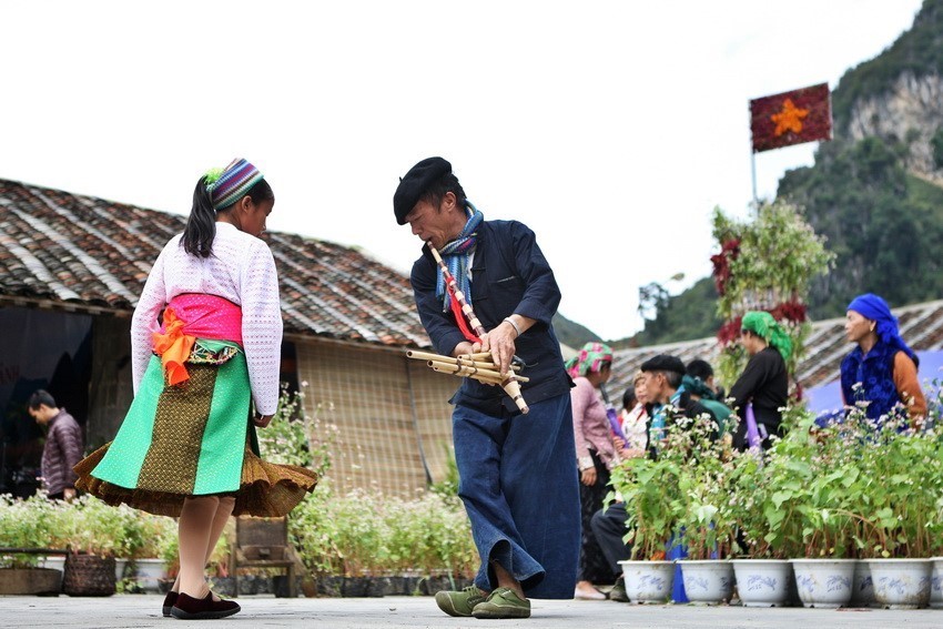 Lễ hội hoa tam giác mạch ở Đồng Văn (Hà Giang).