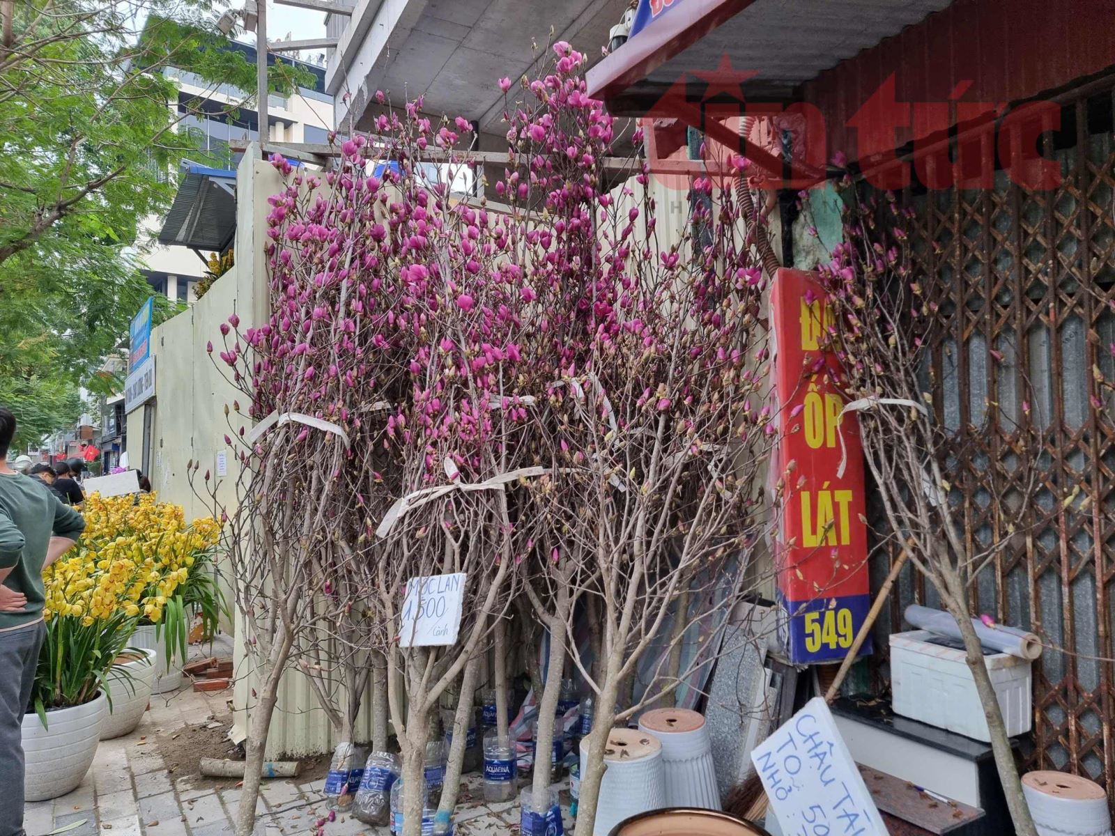 Chú thích ảnh