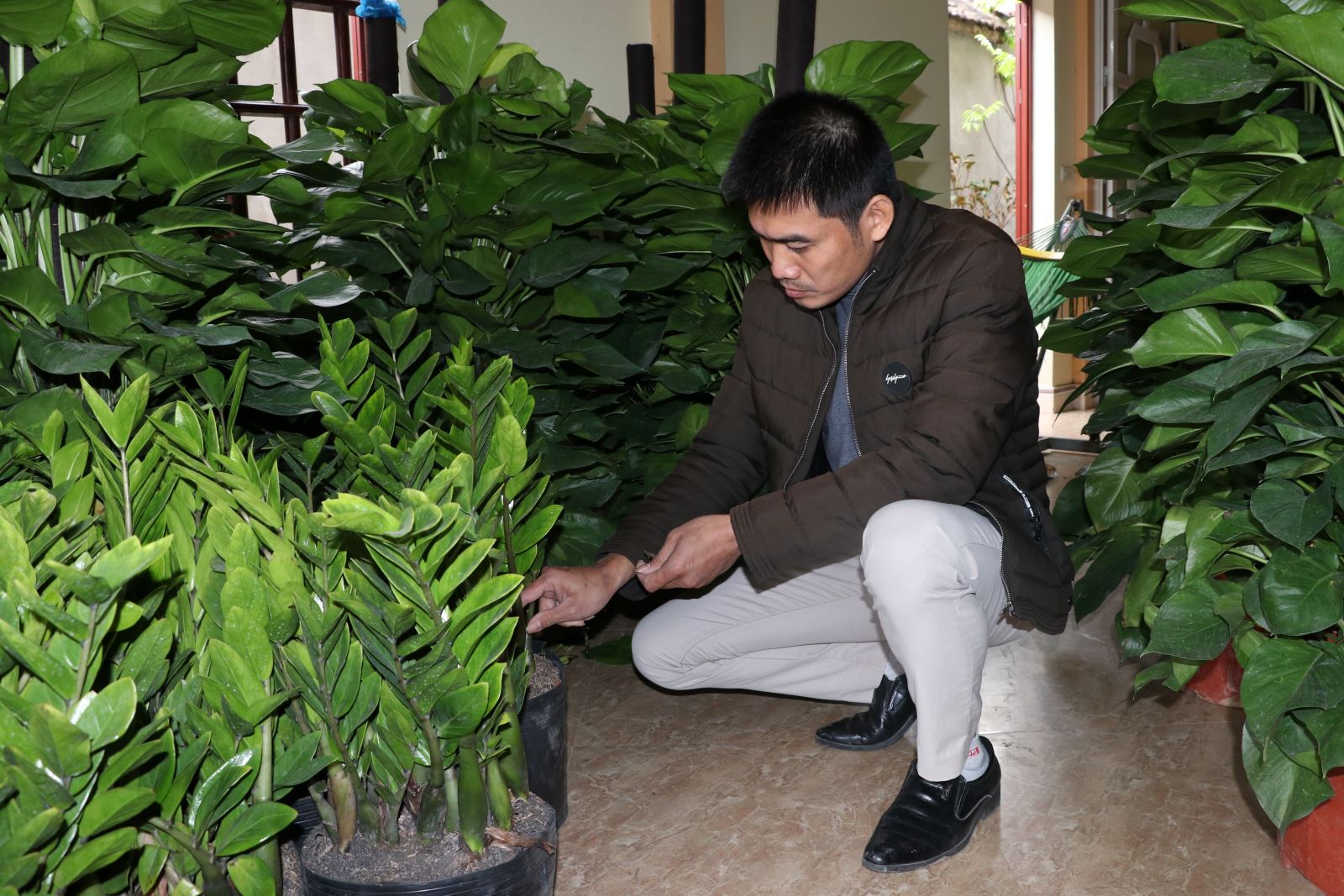 Chú thích ảnh