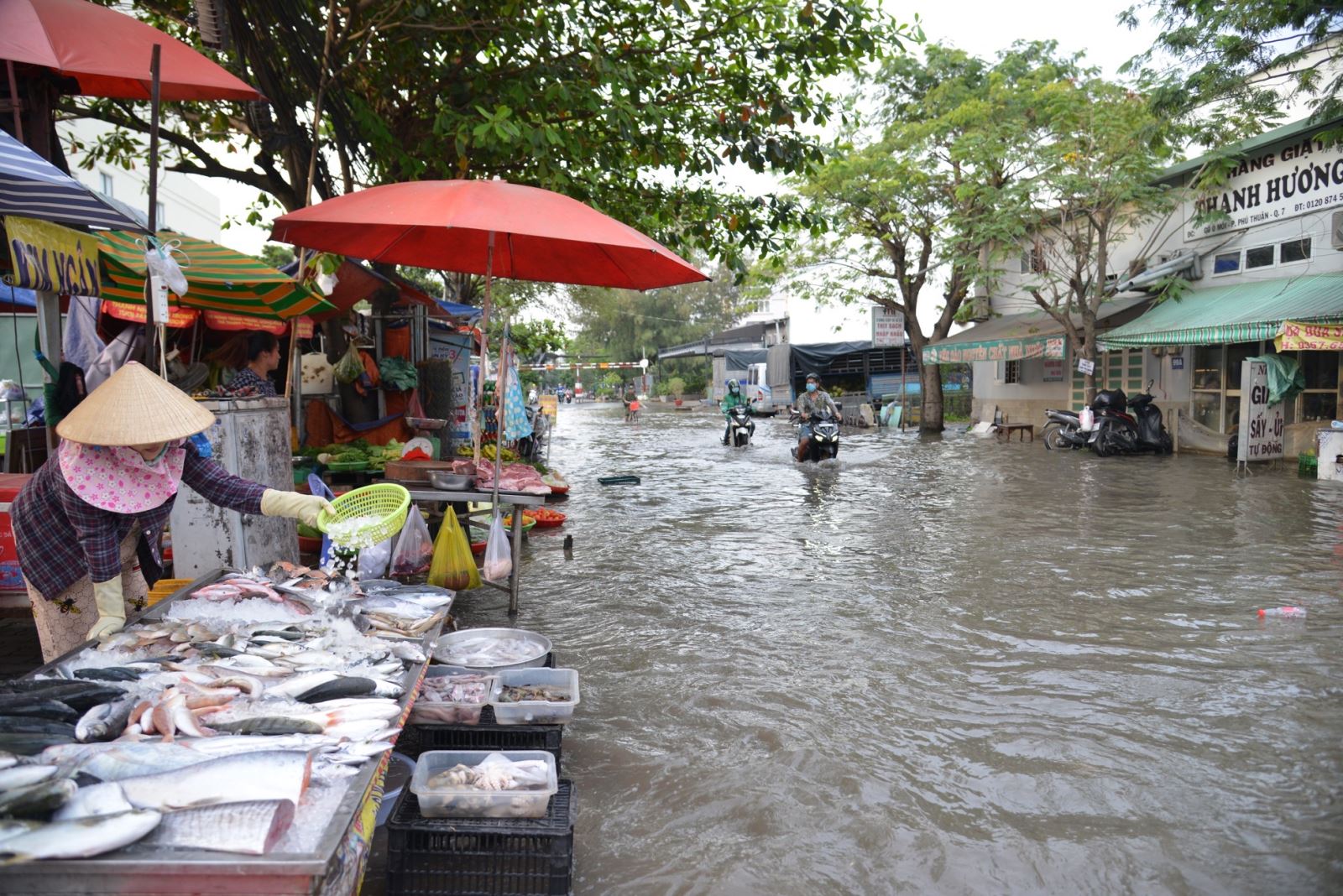 Chú thích ảnh