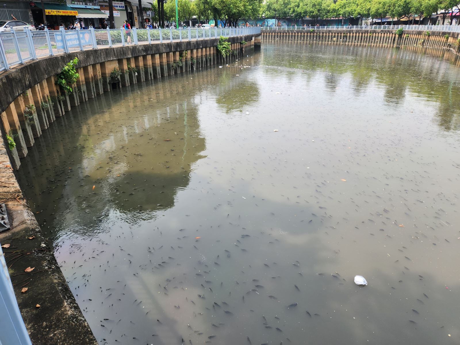 Chú thích ảnh