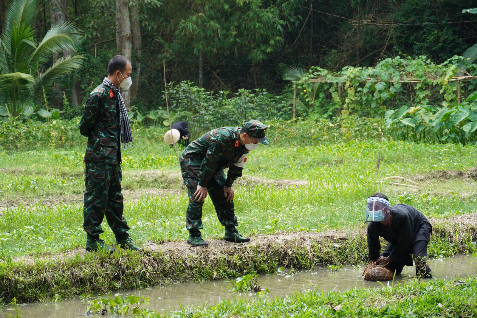 Chú thích ảnh