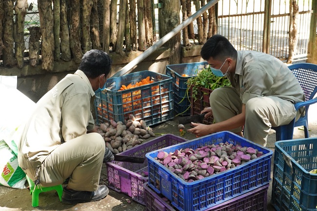 Chú thích ảnh