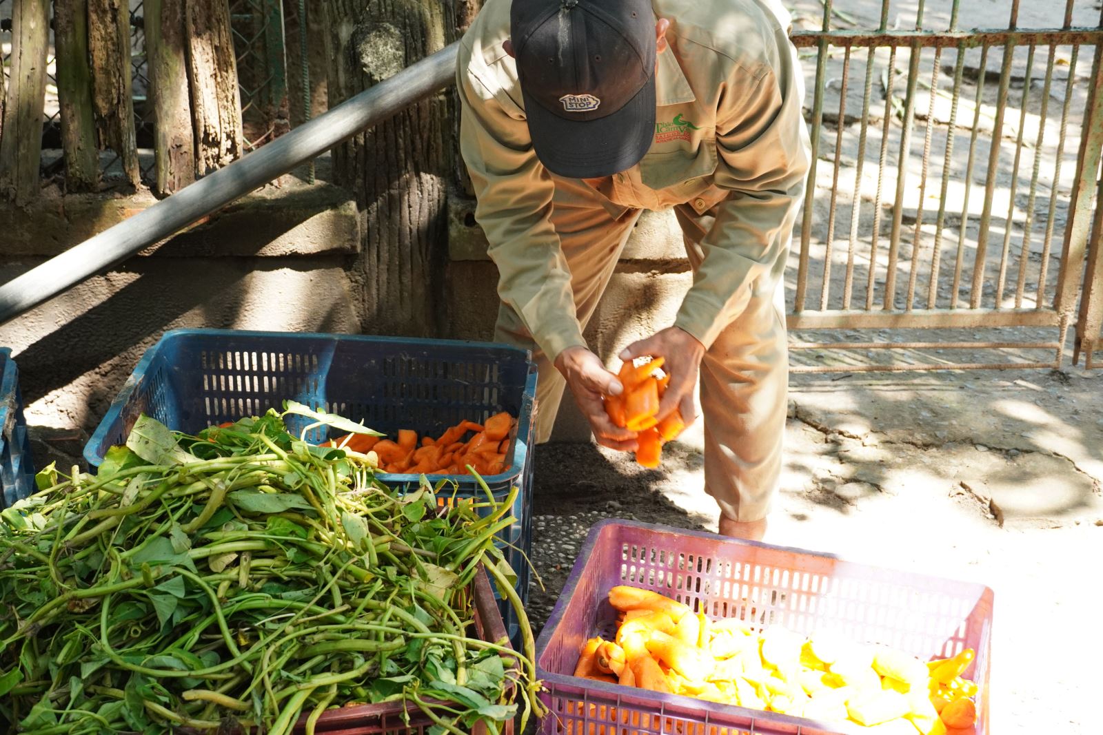 Chú thích ảnh