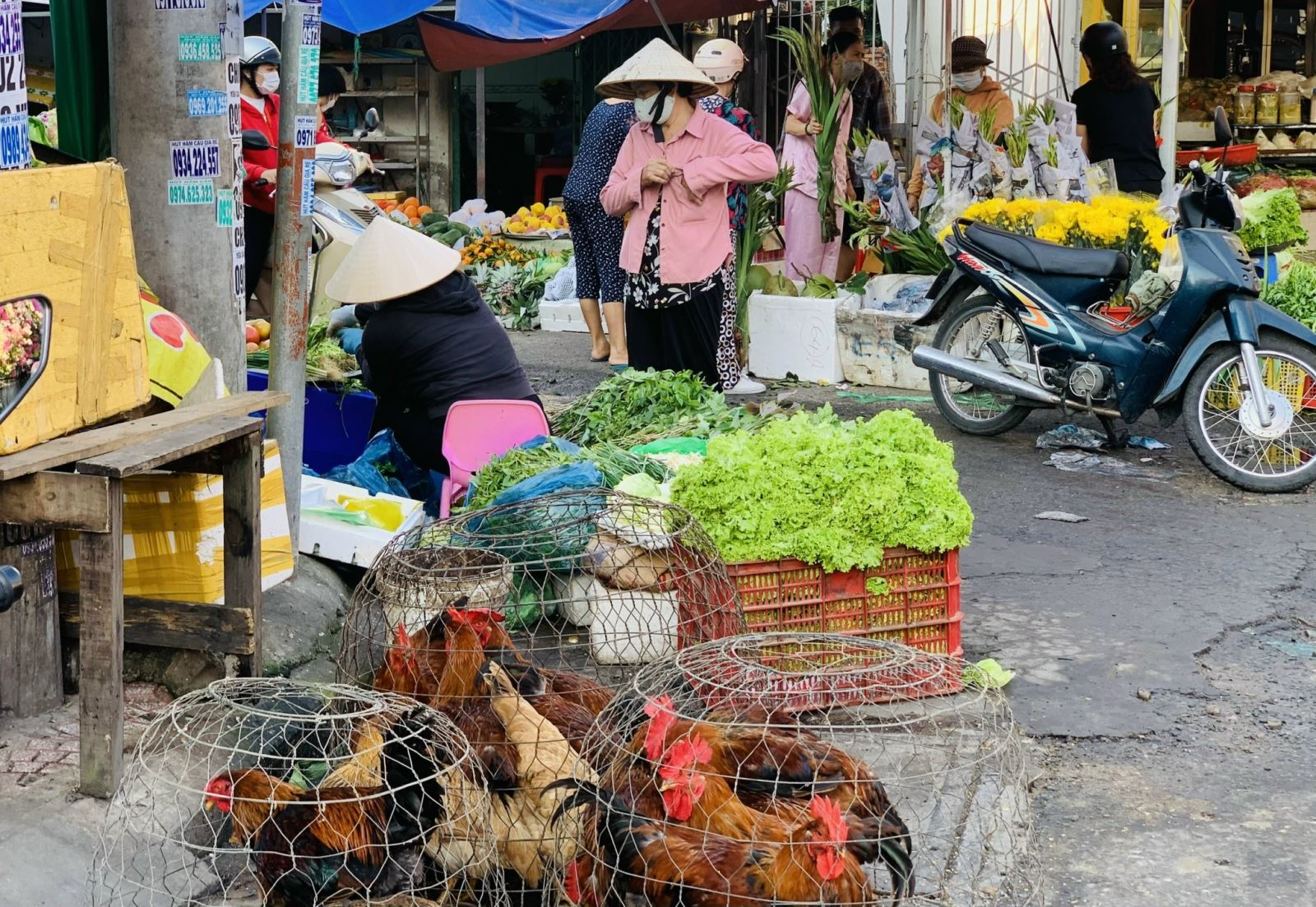 Chú thích ảnh