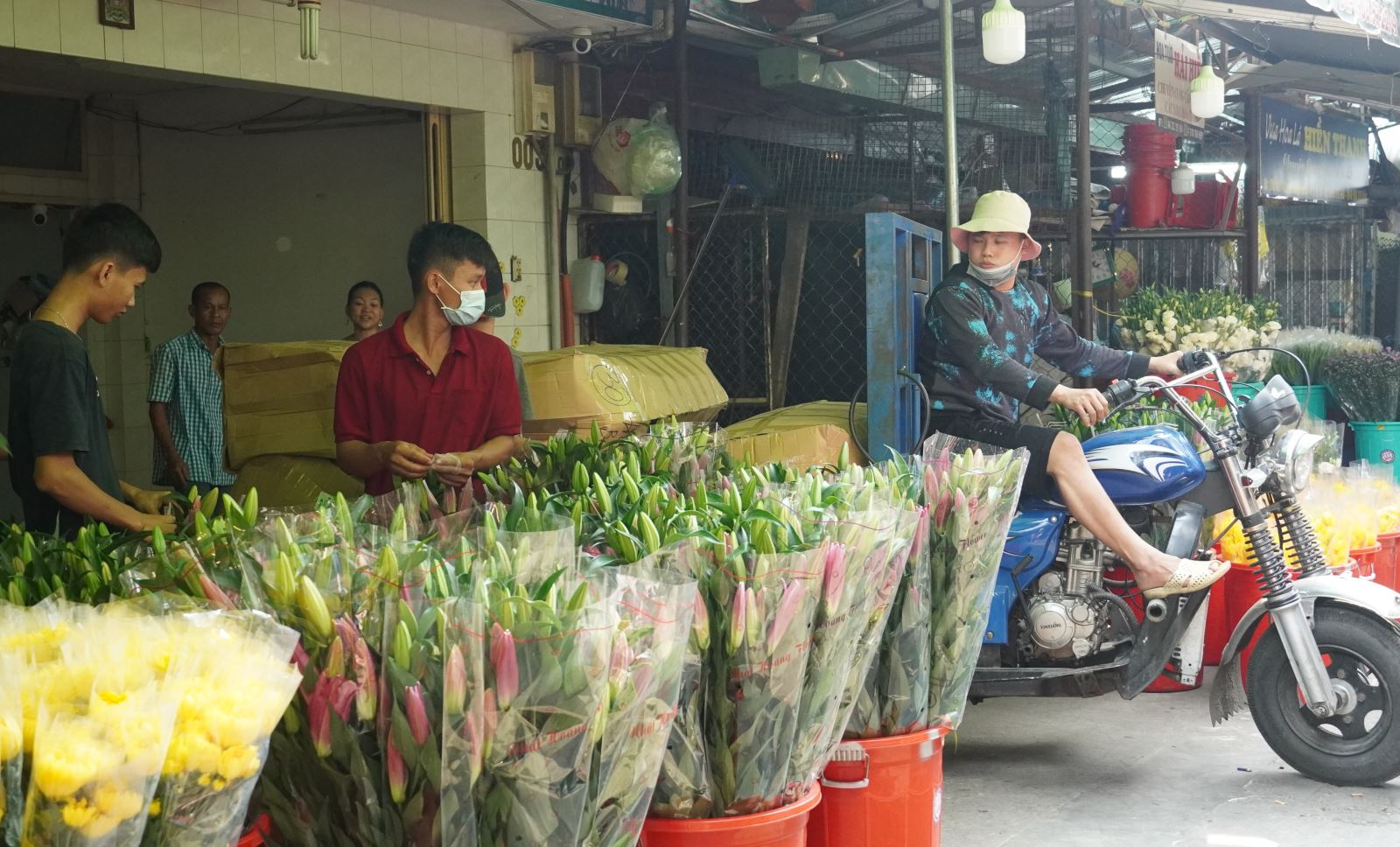 Chú thích ảnh