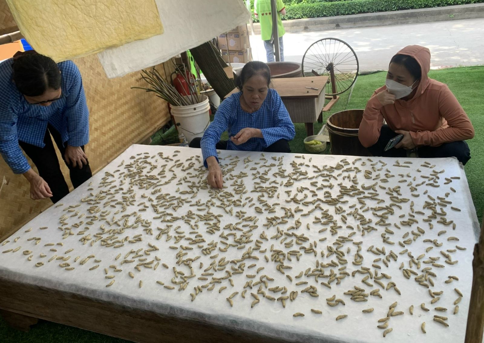 Chú thích ảnh