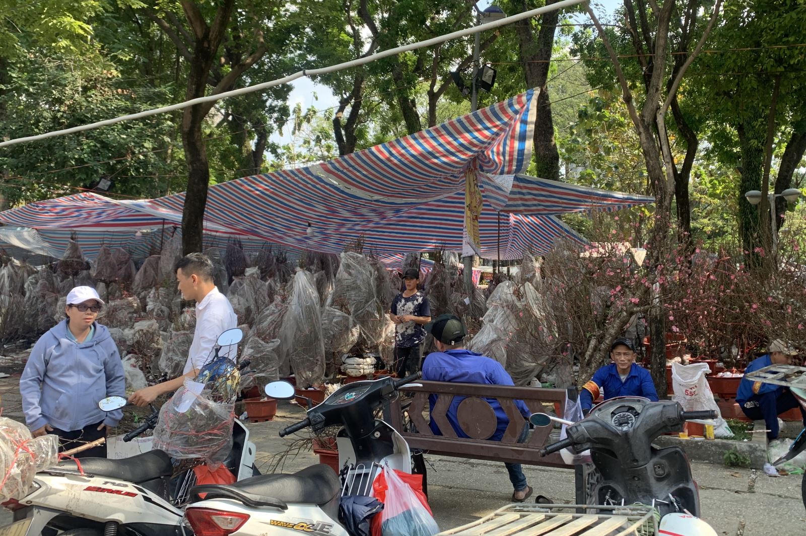 Chú thích ảnh