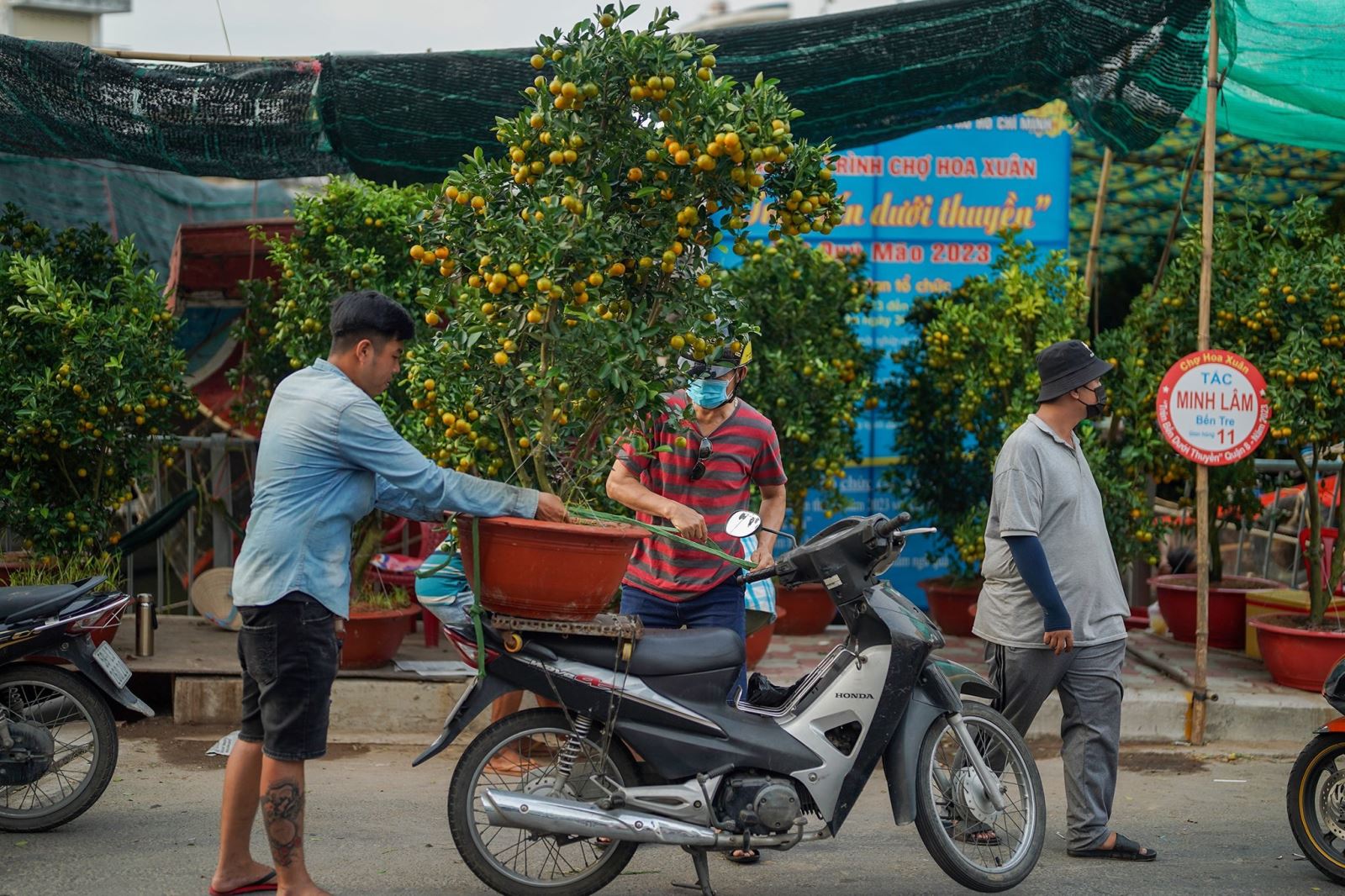 Chú thích ảnh