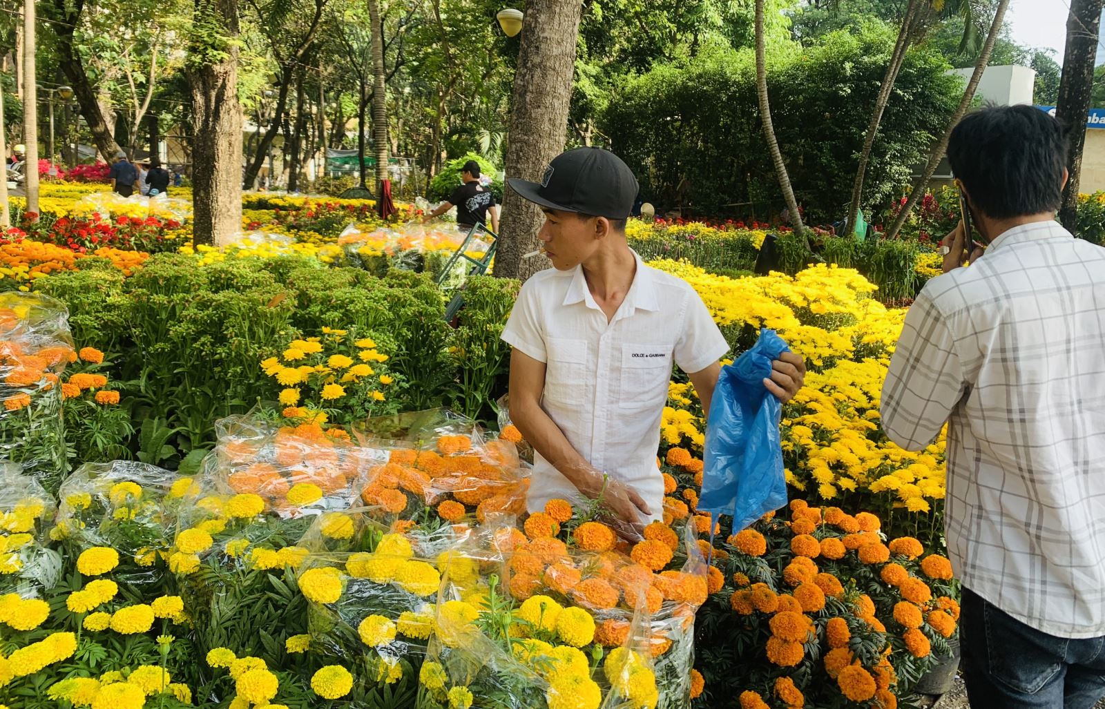 Chú thích ảnh