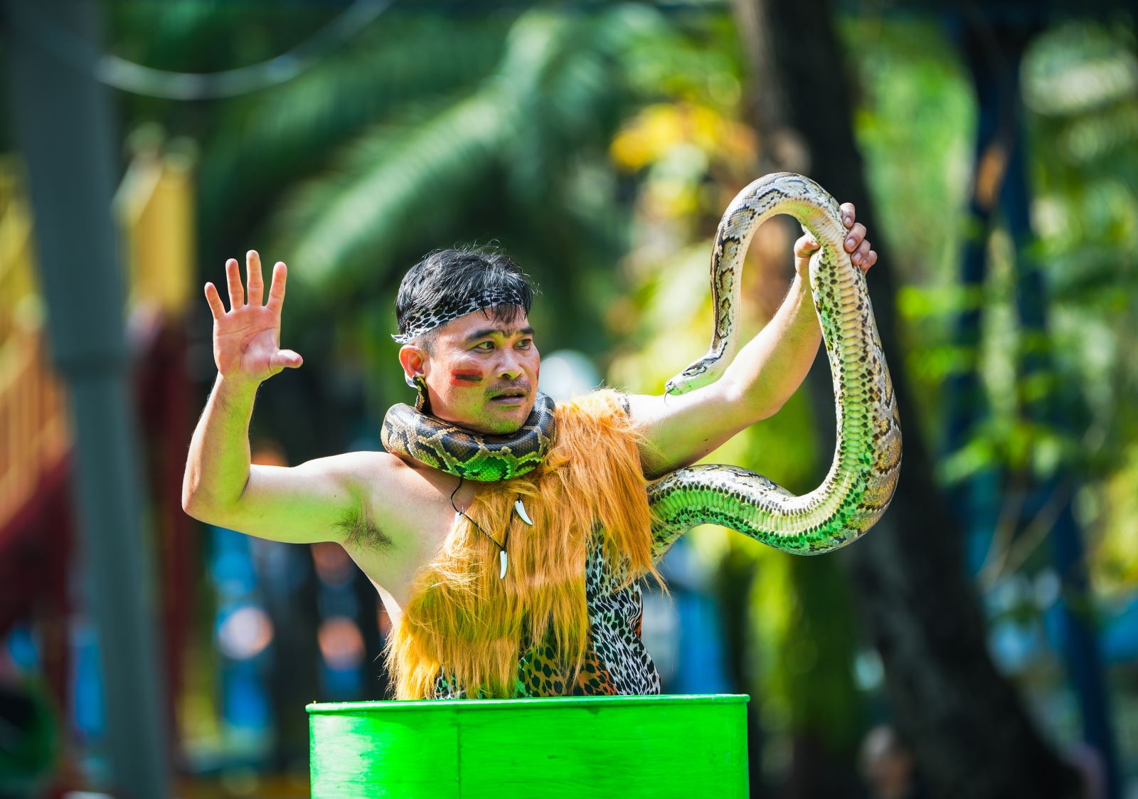 Chú thích ảnh