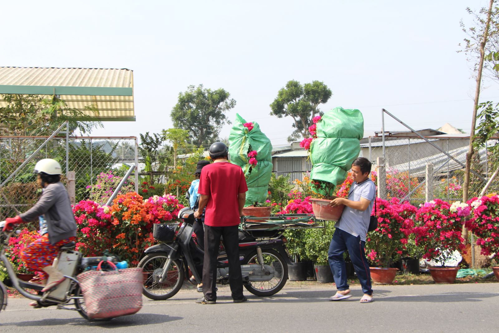 Chú thích ảnh
