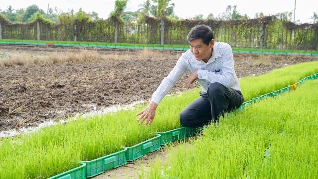 Vinh quang Việt Nam 2025: Nhà khoa học của đồng ruộng