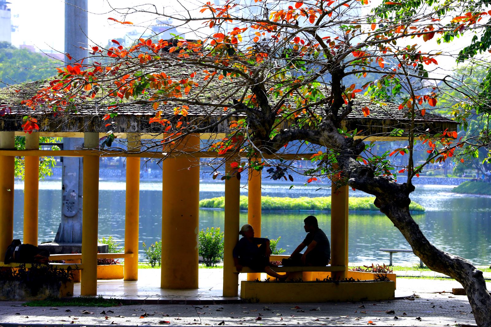 Chú thích ảnh