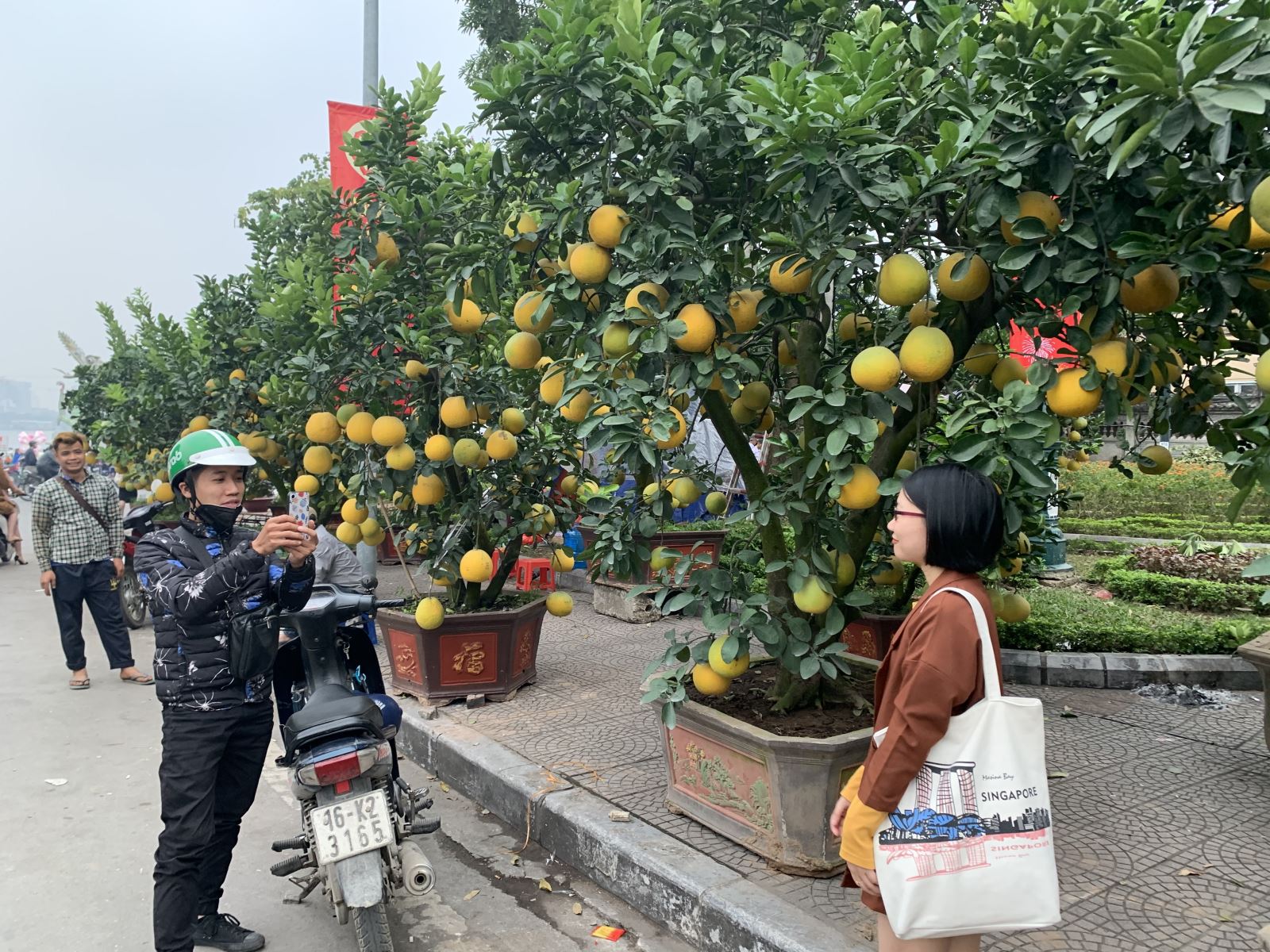 Chú thích ảnh