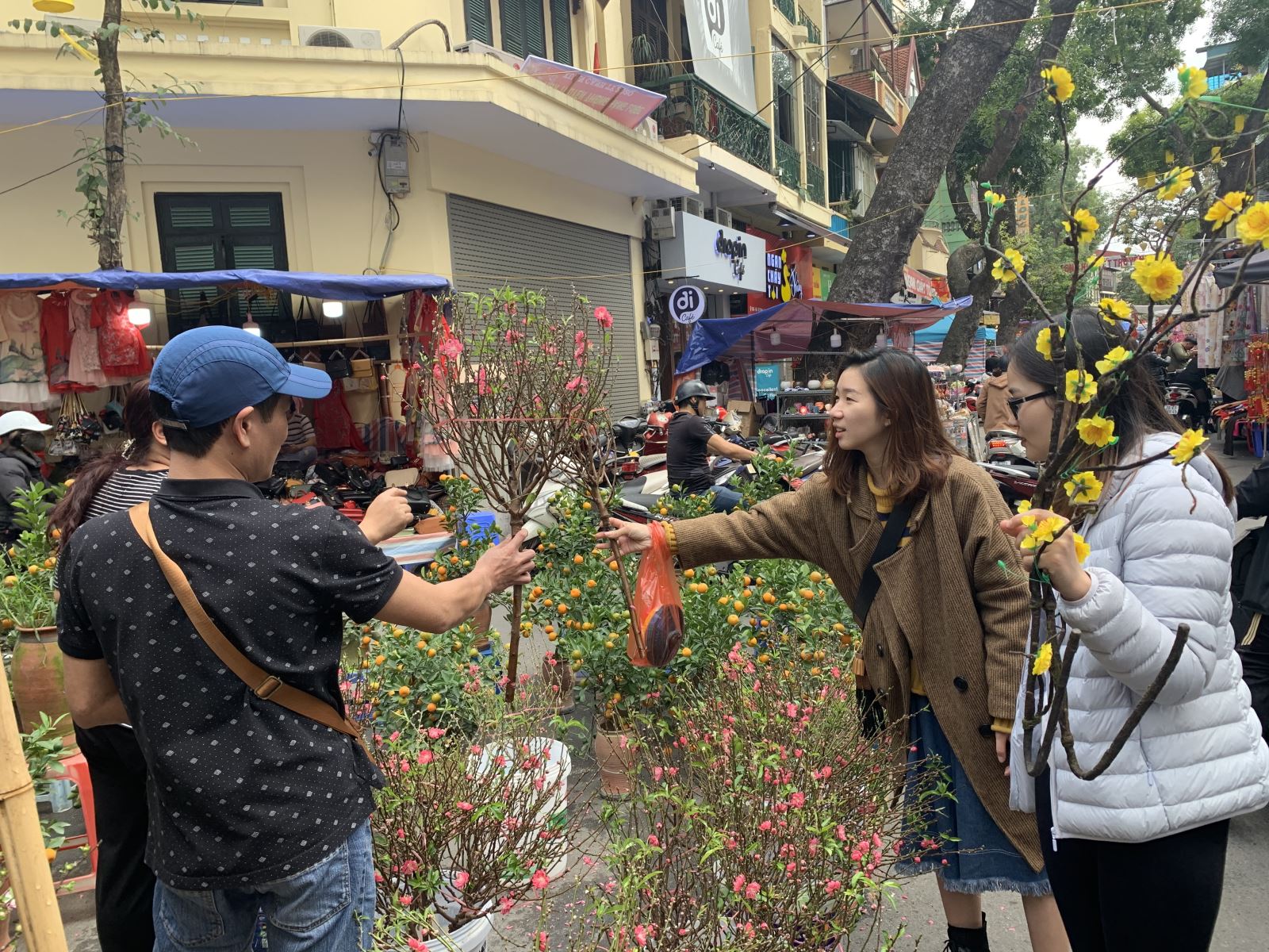 Chú thích ảnh