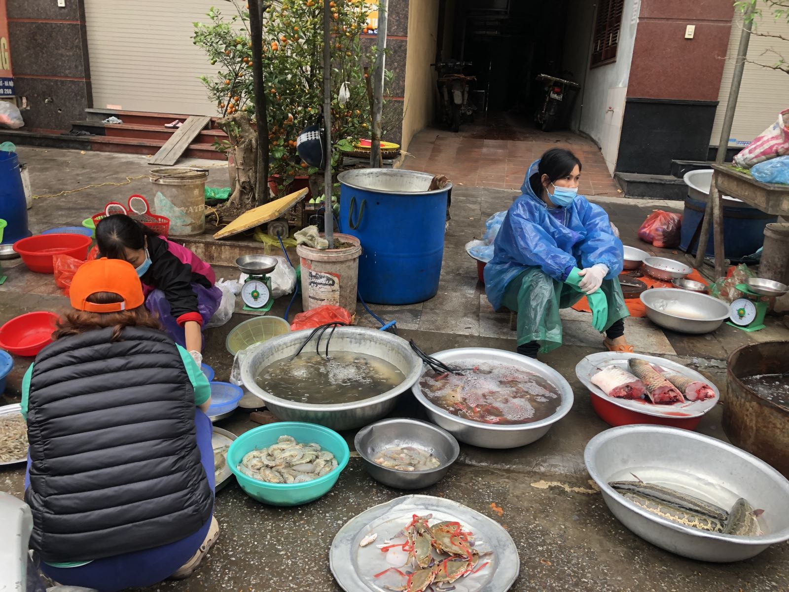 Chú thích ảnh
