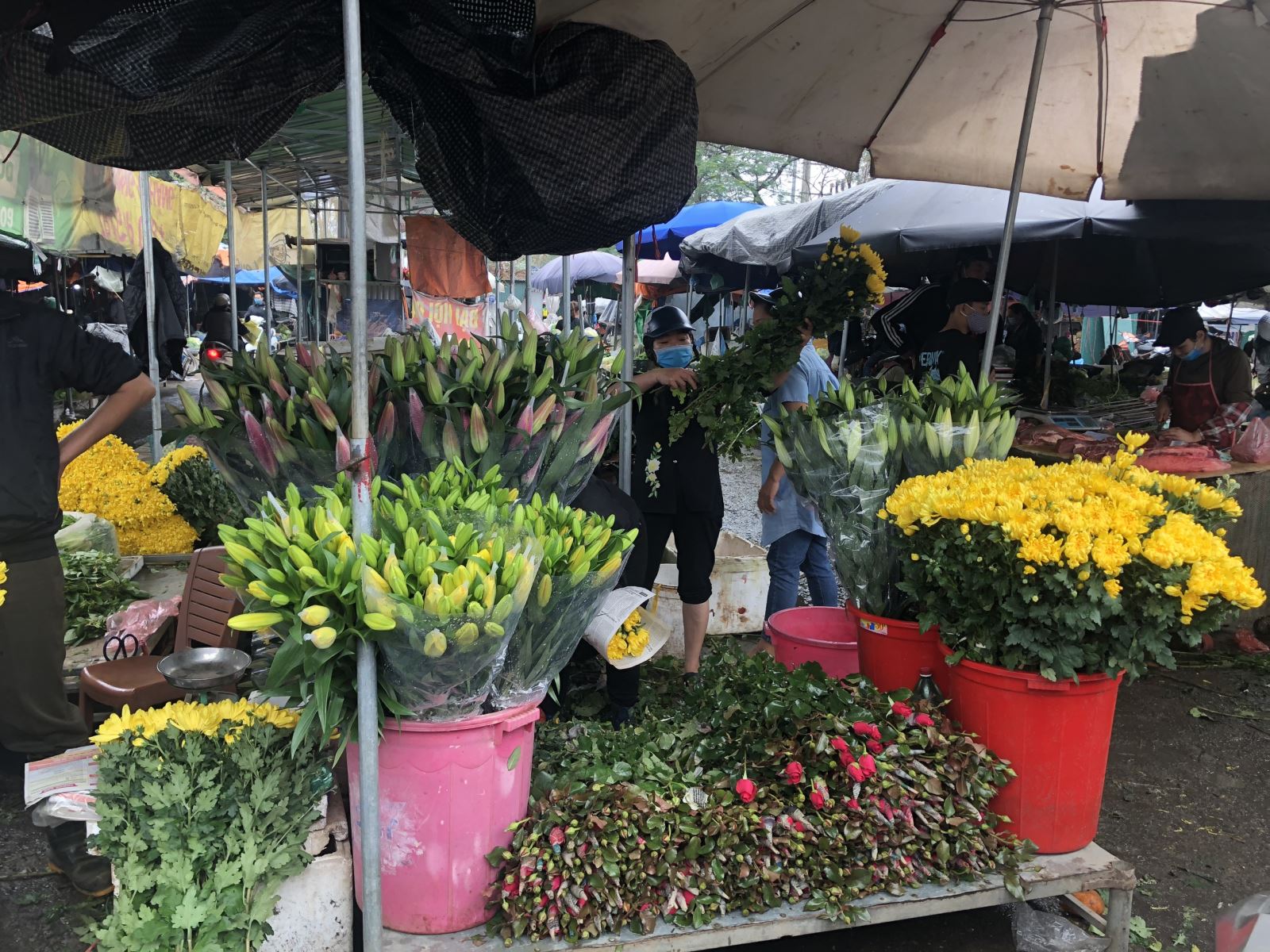 Chú thích ảnh