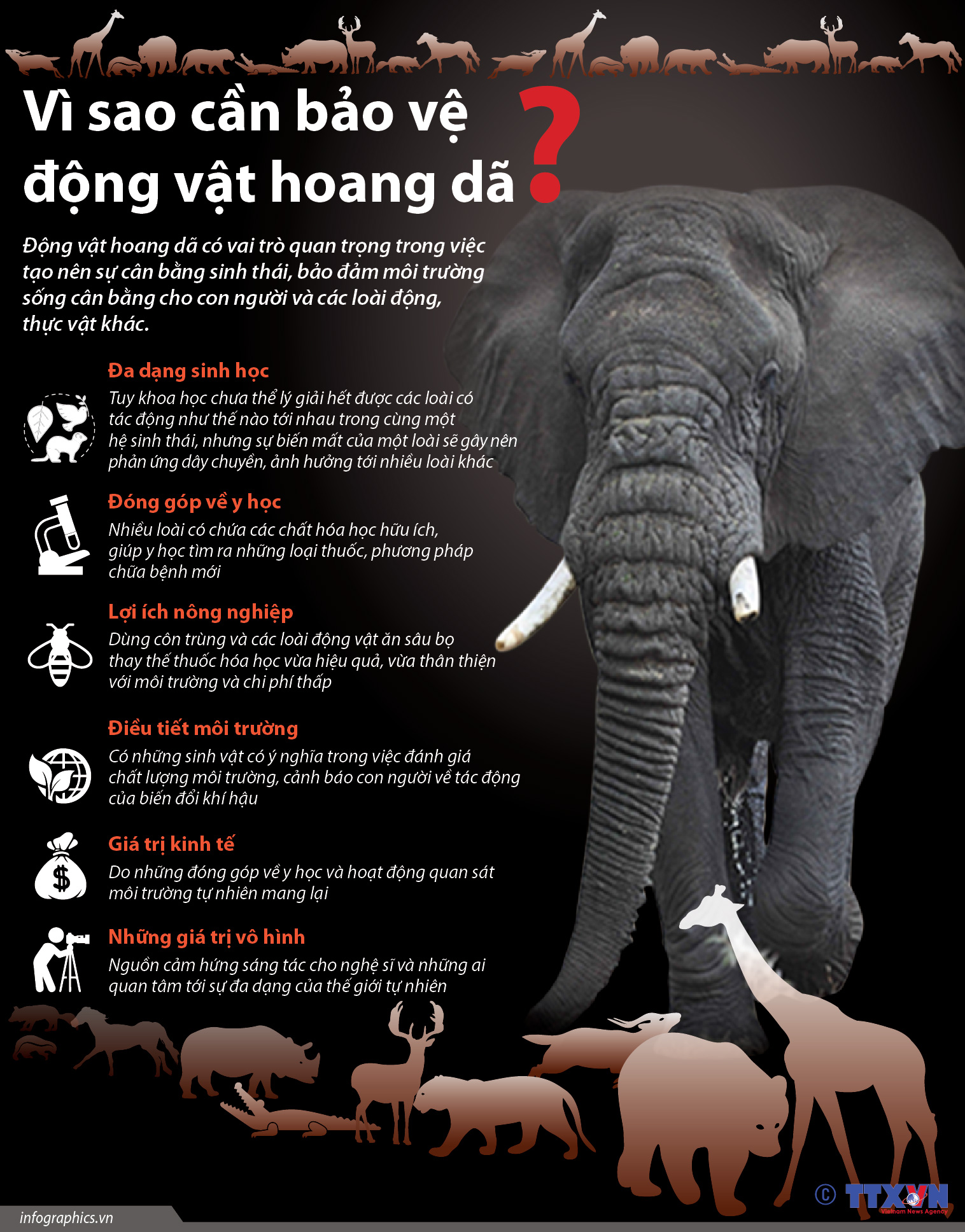 Động vật hoang dã bên bờ vực tuyệt chủng ảnh 11