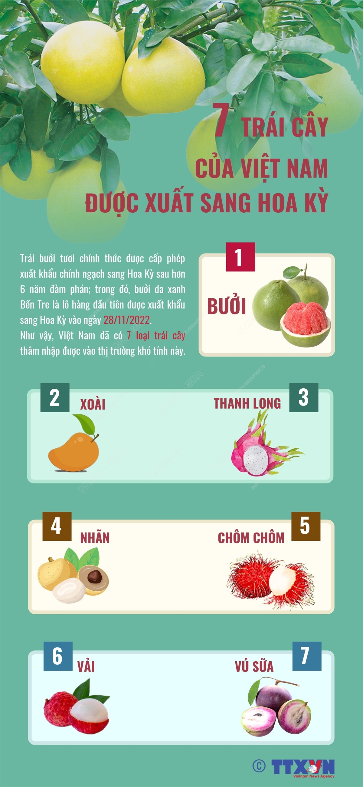Động lực tăng trưởng kinh tế&nbsp; ảnh 11