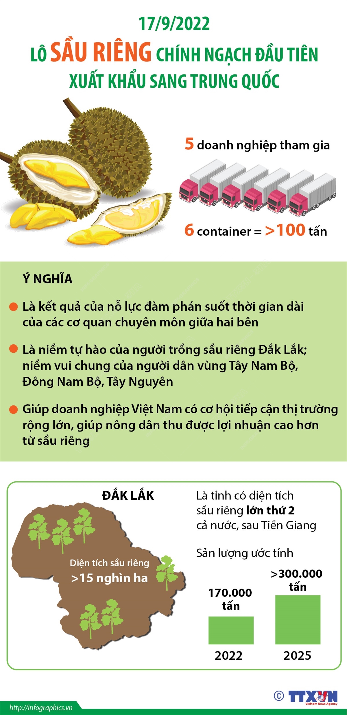 Phát triển bền vững cây sầu riêng ảnh 5
