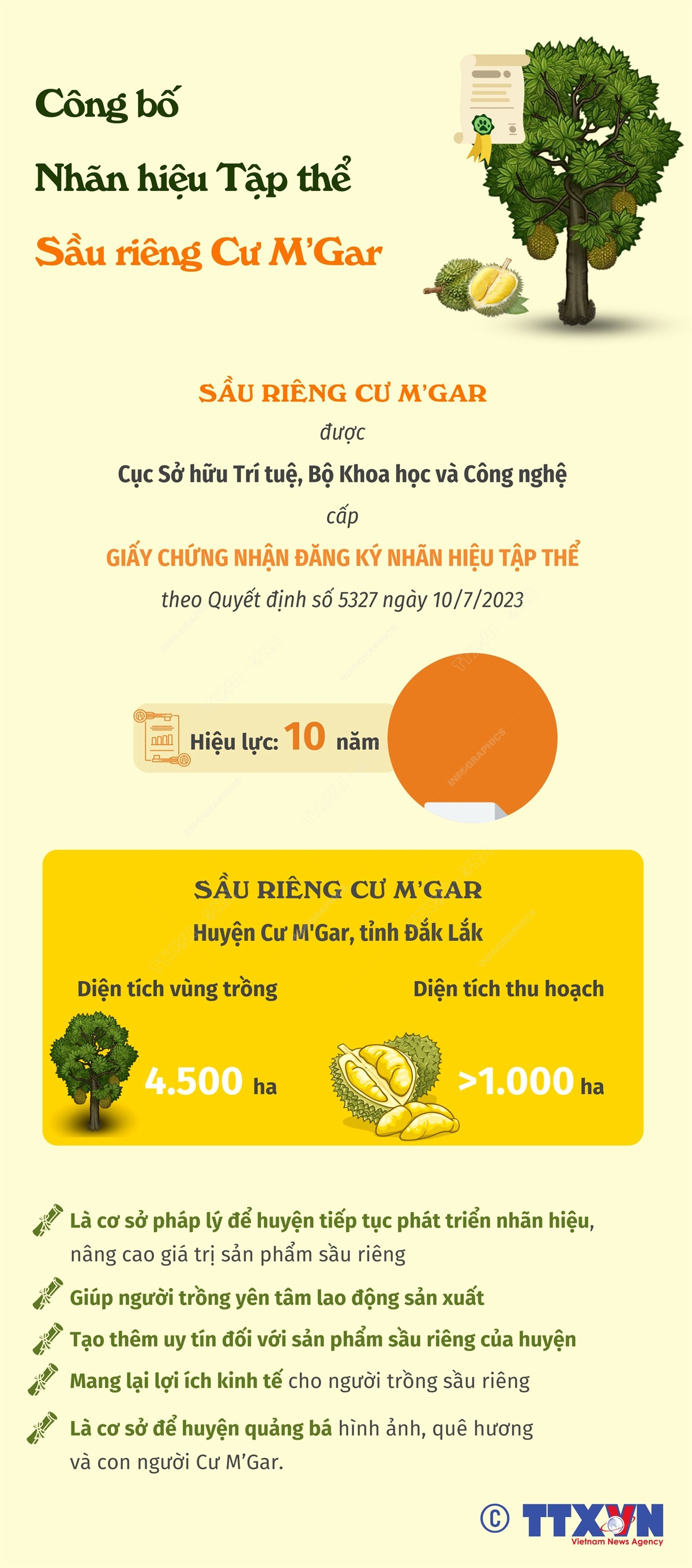 Để sầu riêng thành niềm vui chung ảnh 14