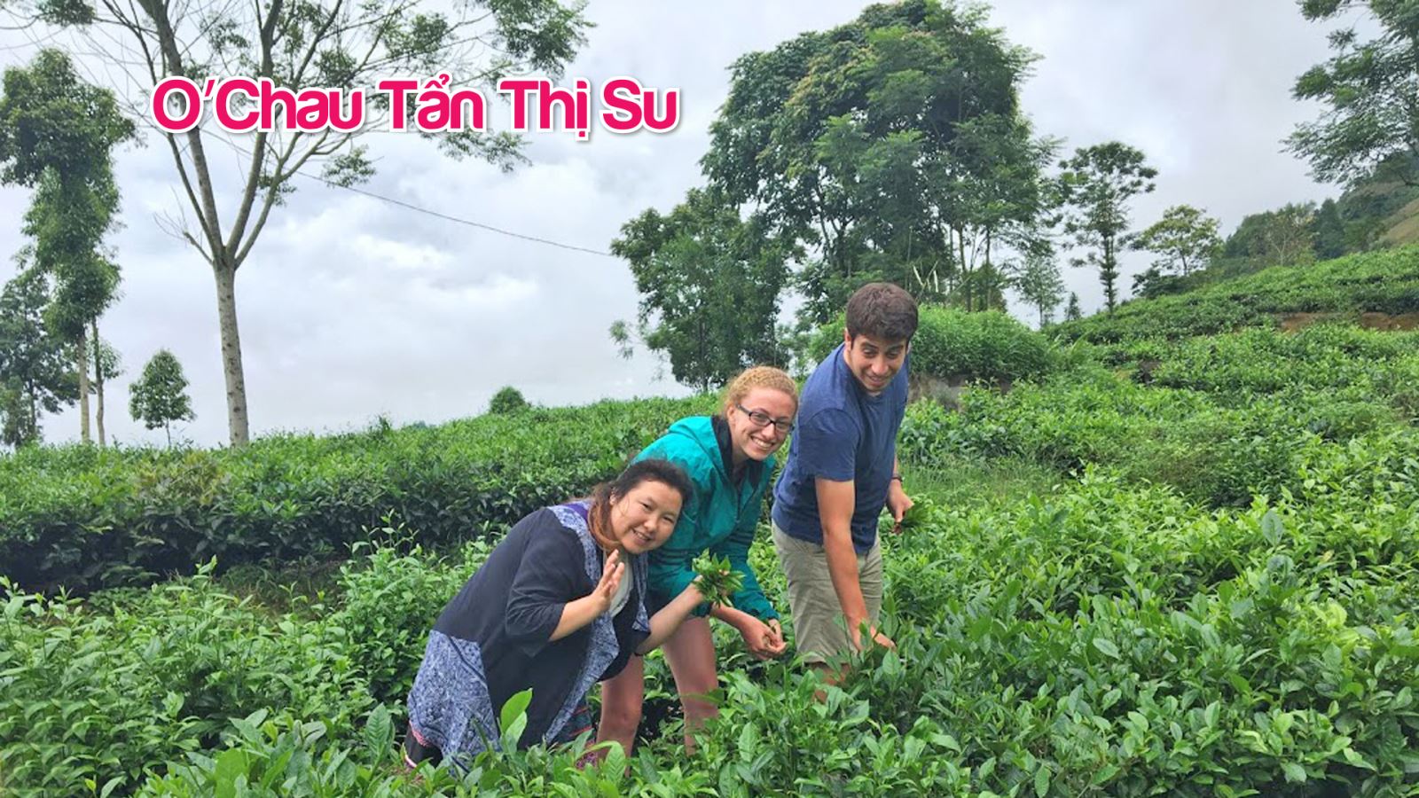 Nàng tiên chắp cánh giấc mơ cho trẻ em nghèo ảnh 11
